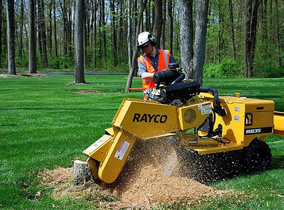 Stump grinding machine in action